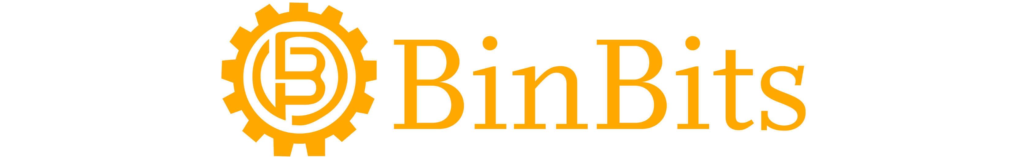binbits